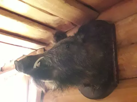 В бане - чисто!